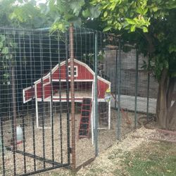 Chicken Coop