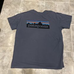 Patagonia T Shirt Mens XL Gray P-6 Logo Responsibili Tee Fitz Roy Mountain