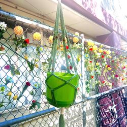 Green Macrame Plant Holder