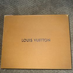 Louis Vuitton Hand Bag