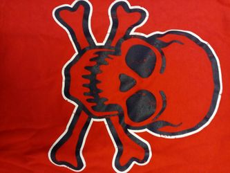 Very COOL SKULL t shirt. sz 18 months