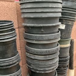 So Many Different Black Plants Buckets Planters Pots