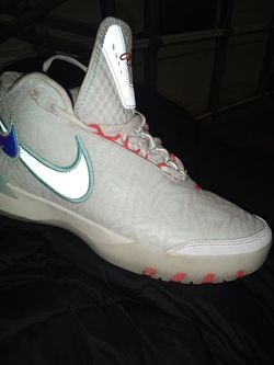 Lebron James size 11
