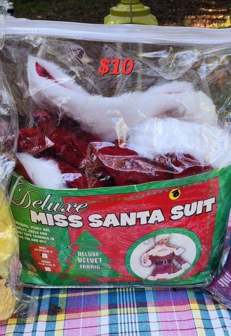 Miss Santa Costume