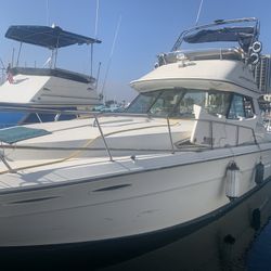 1983  34ft SeaRay Sedan Bridge boat