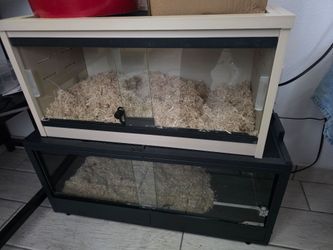 Reptile enslosure