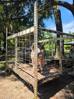 LARGE CAGE METAL