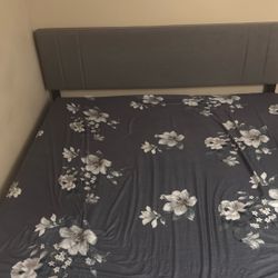 Bed Frame /mattress 