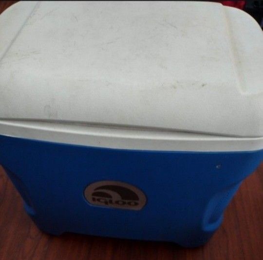 Igloo Countor 30 Quarter Ice Chest Cooler