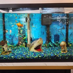 Aquarium / Fish tank.