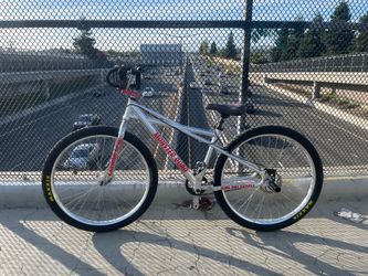 SE Monster Quad 29in (Read Description)