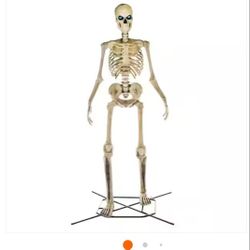 Halloween Skeleton