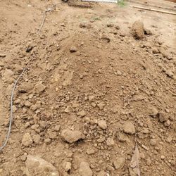 free Dirt