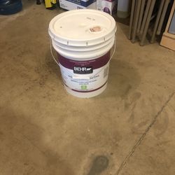 Paint For Sale