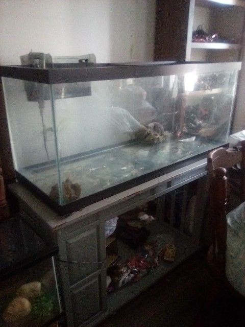 Very Nice 75 Gallon Aquarium With A Stand And Filter