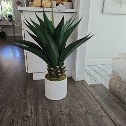 Artificial Agave