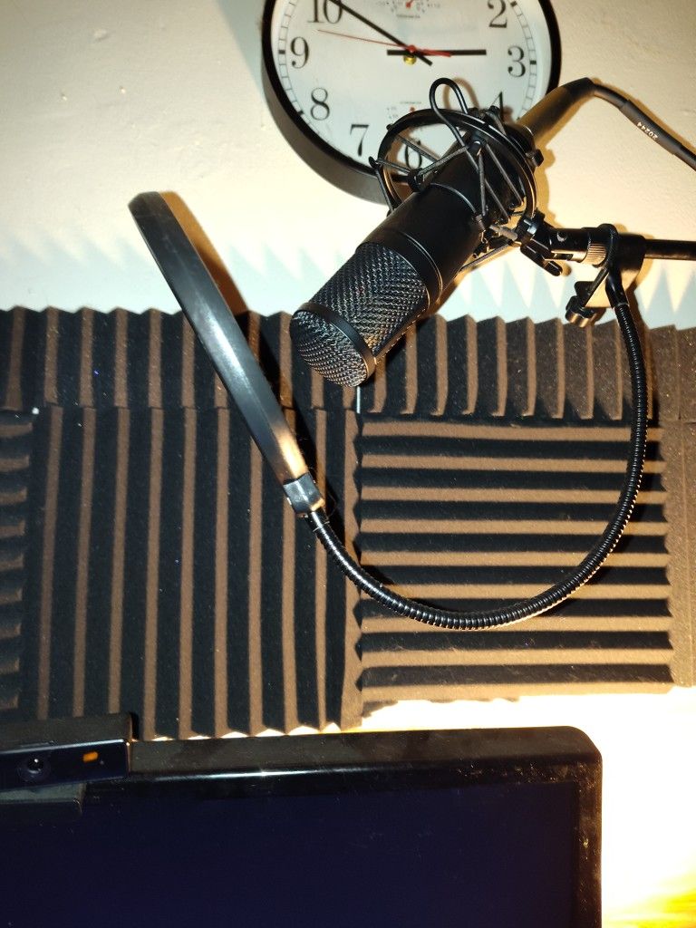 Bluecoil Studio Condenser Mic, Mic Boom Stand And Pop Filter