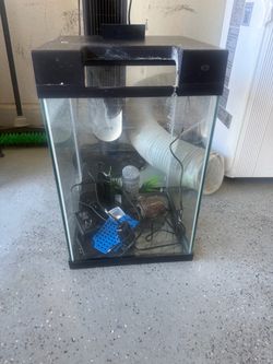 10 Gallon Tank