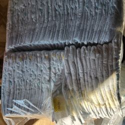 Newborn PAMPERS
