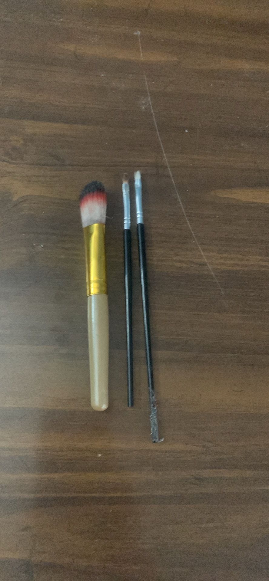 Paint Brushes 
