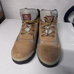 Hiker Timberlands 