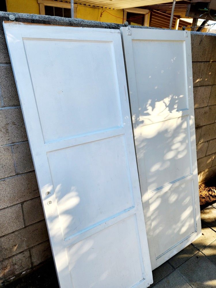 Closet Or Barn Doors 66 1/4" long
24 1/2" width
1 1/8" thickness