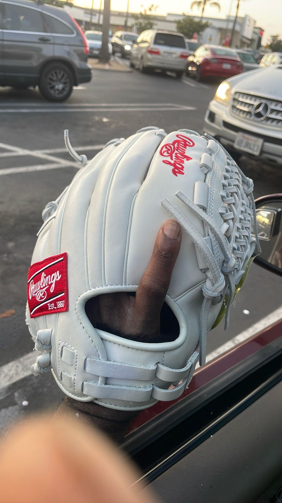 New Rawlings Glove