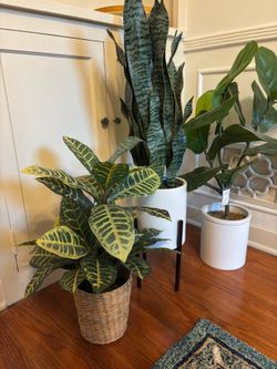 Fake Plants