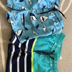 2T Boys Swim Trunks 