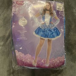 Halloween Costume Disney Cinderella 