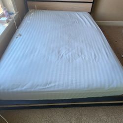 Queen Bed Frame For Sale