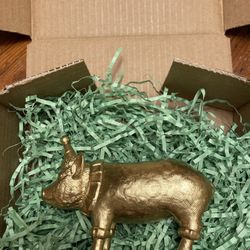 The gold party pig