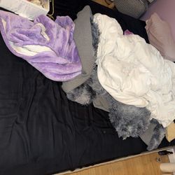 Queen Mattress And Box Spring Bundle 