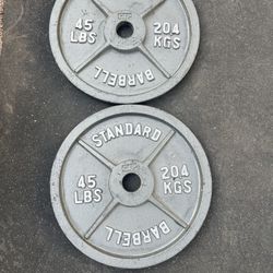 45lb Olympic Weight Plate Set 