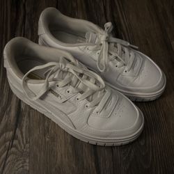 White Pumas