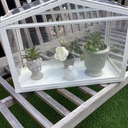 Terrarium For Plants 