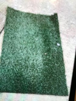 1.6 Ft fake grass