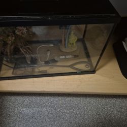 Fishing Tank With Two Decorations 