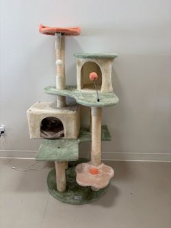 Cat Condo