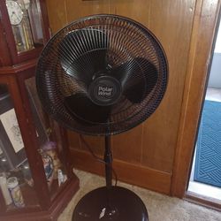 Oscillating Fan 