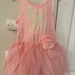 Girl's Dress Size 5/6