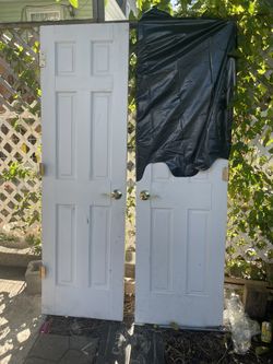 Antique Doors 24” Each