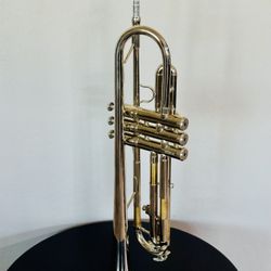 Very Gently Used Tumpet Instrument