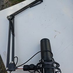 Mic