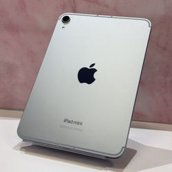iPad Mini 512GB LTE