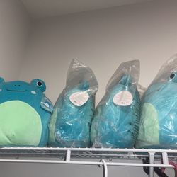 Brand New Ludwig Squishmallow
