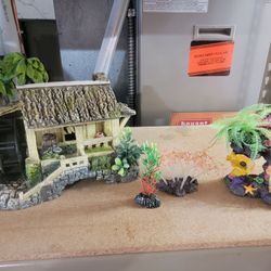 Aquarium House