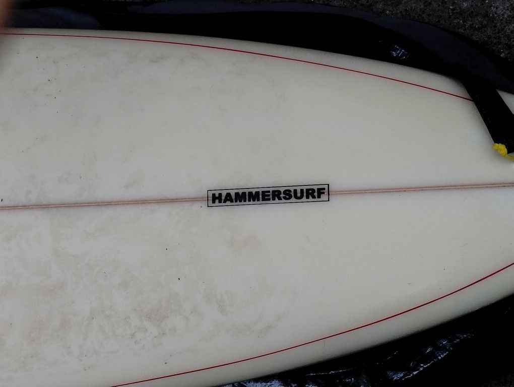Santa Cruz Hammerhead Surf Board