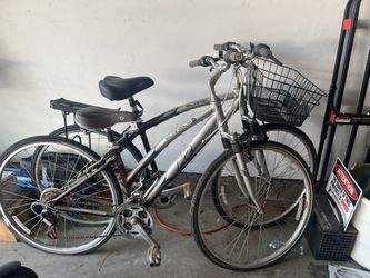 2 Bikes For Male And Female.