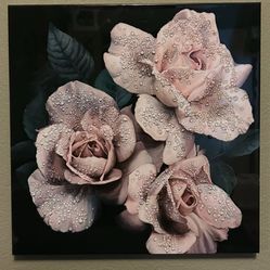 3D Three White Roses Canvas Picture